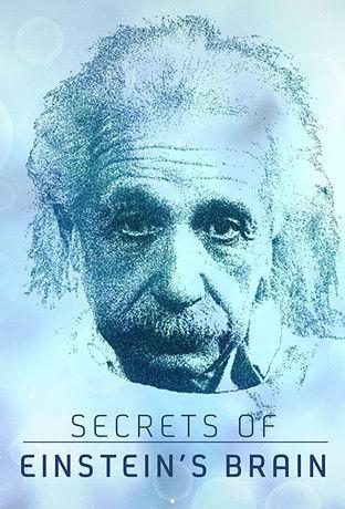 Secrets of Einstein's Brain film afişi