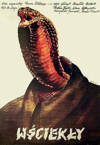 Wściekły film afişi