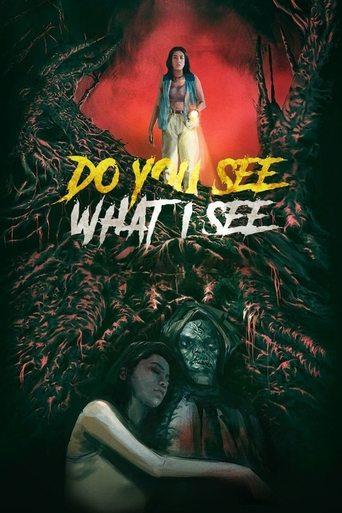 Do You See What I See film afişi