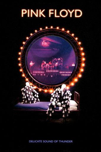 Pink Floyd: Delicate Sound of Thunder film afişi