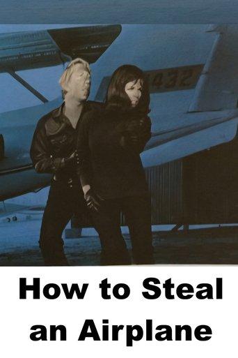 How to Steal an Airplane film afişi