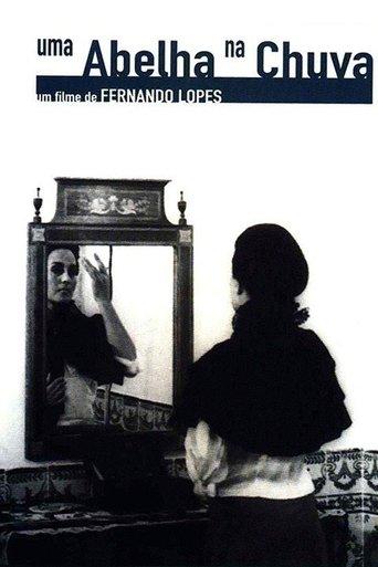 A Bee in the Rain film afişi