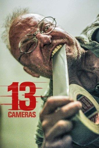 13 Cameras film afişi