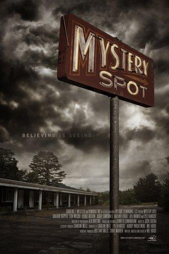 Mystery Spot film afişi