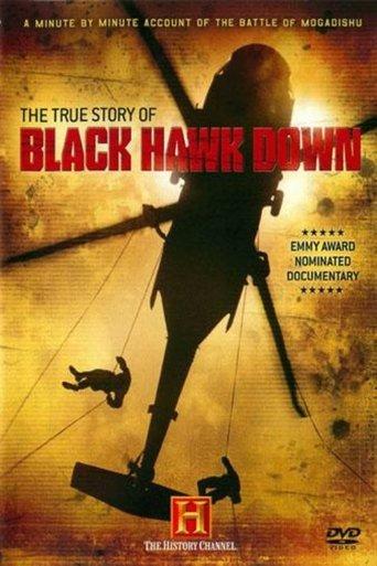 The True Story of Black Hawk Down film afişi