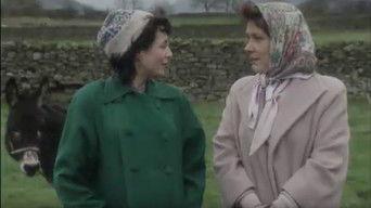 If Music Be the Food of Love