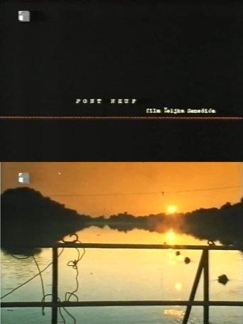 Pont Neuf film afişi