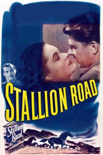 Stallion Road film afişi