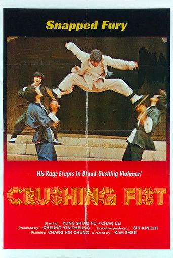 The Great Chinese Boxer film afişi