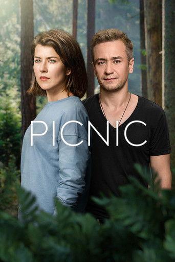 Picnic dizi afişi