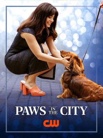 Paws in the City film afişi