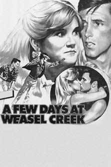 A Few Days at Weasel Creek film afişi