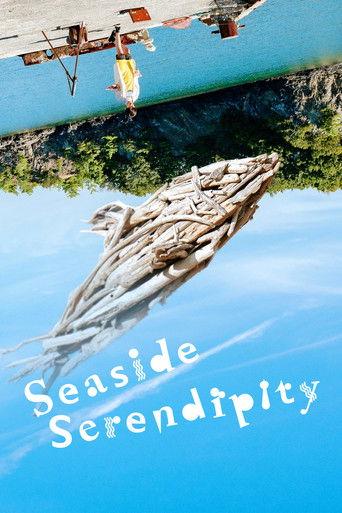 Seaside Serendipity film afişi