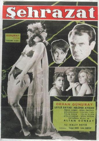 Scheherazade film afişi