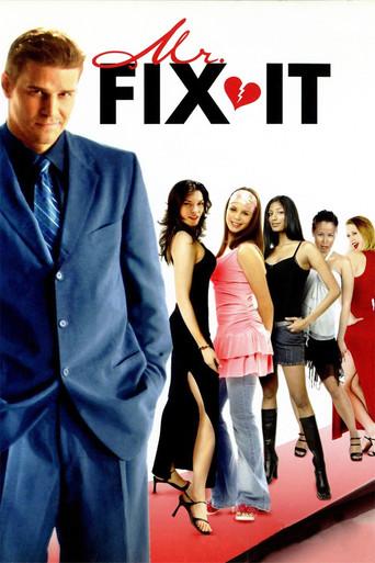 Mr. Fix It film afişi