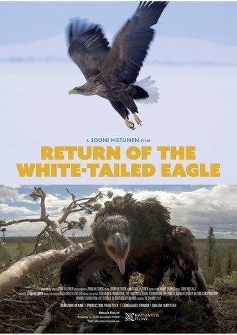 Return of the White-tailed Eagle film afişi