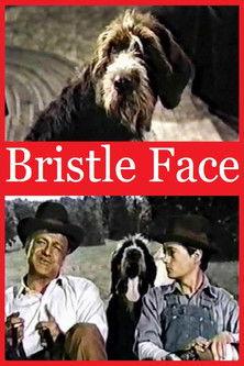 Bristle Face film afişi