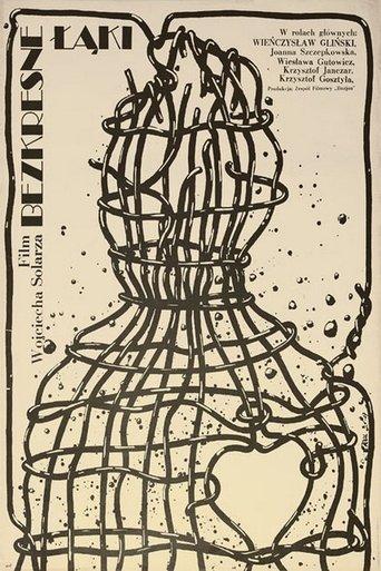 Bezkresne łąki film afişi