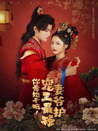 你惹她干嘛，宠妻王爷最护短 dizi afişi