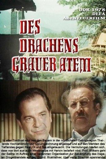 Des Drachens grauer Atem film afişi