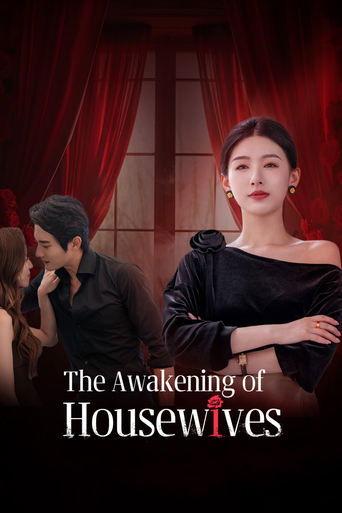 The Awakening of Housewives dizi afişi