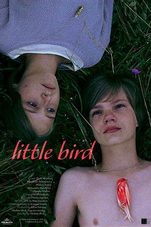 Little Bird film afişi