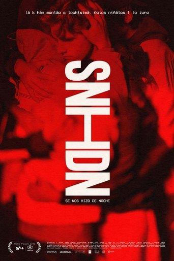 It Got Dark film afişi