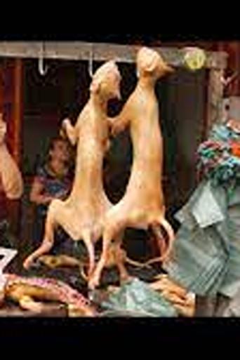 Dining on Dogs in Yulin film afişi