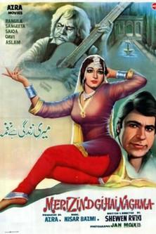 Meri Zindagi Hay Naghma film afişi
