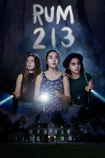 Room 213 film afişi