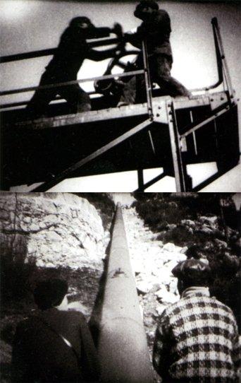 White Coal film afişi