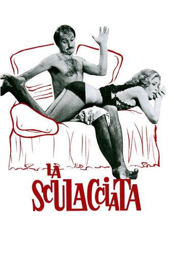 The Gamecock film afişi