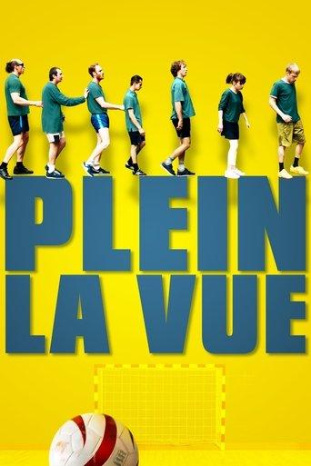 Plein la vue film afişi