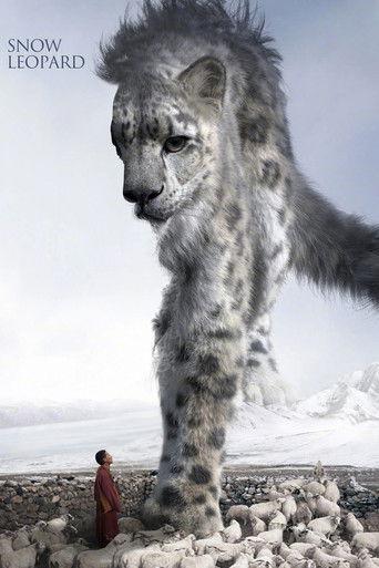 Snow Leopard film afişi