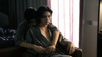 The Vision and the Secret