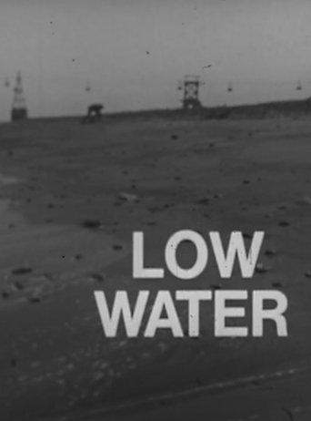 Low Water film afişi