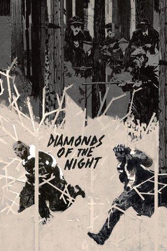 Diamonds of the Night film afişi