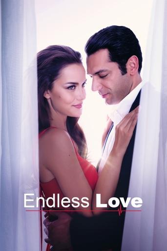 Endless Love film afişi