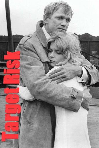 Target Risk film afişi