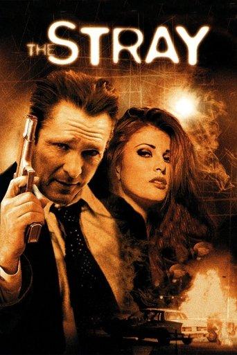 The Stray film afişi