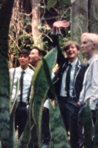 Next to the volcano film afişi