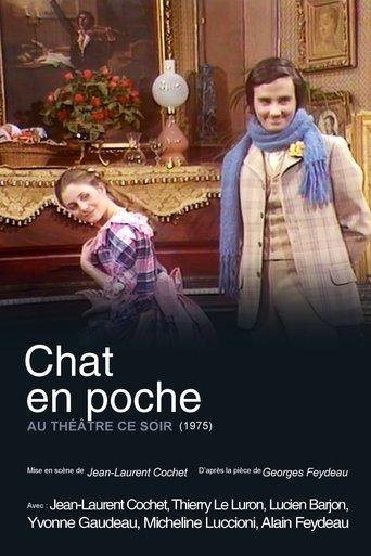 Chat en poche film afişi