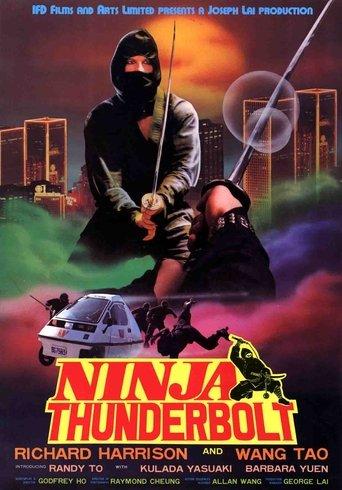 Ninja Thunderbolt film afişi