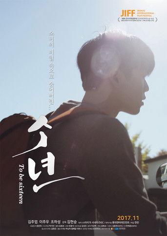 To be Sixteen film afişi