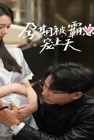 孕期被霸总宠上天 dizi afişi