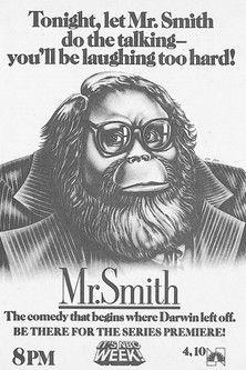 Mr. Smith dizi afişi