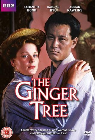 The Ginger Tree dizi afişi