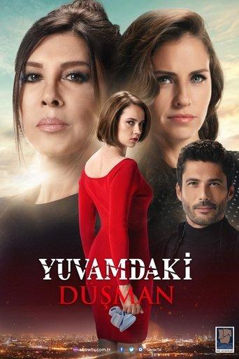The Enemy in My House dizi afişi
