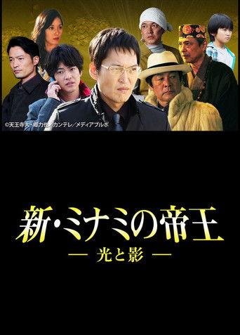 The King of Minami Returns: Light and Shadow film afişi