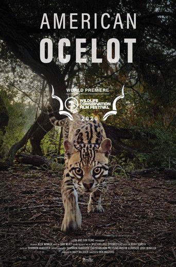American Ocelot film afişi
